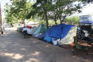 Homeless tent Kaluakua 0033