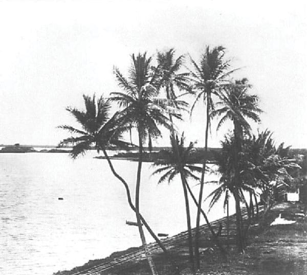 Puʻuloa in the 1880s