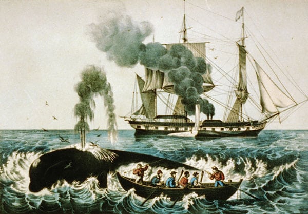 Whale ship 1